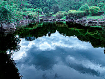 Reflection of trees in lake