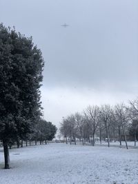 Trees on snow covered field against sky