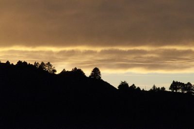 Silhouette trees against sky during sunset