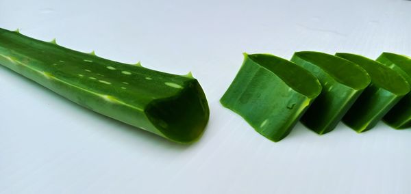 High angle view of green leaves on white background