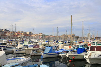 Sailboats moored at harbor