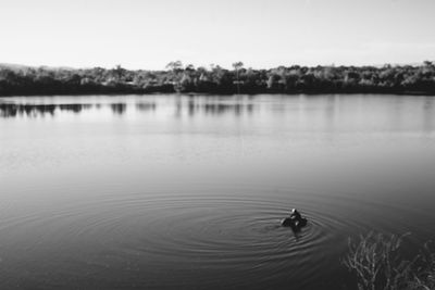 View of duck swimming in lake