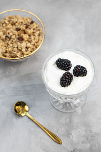 Dessert with yogurt, homemade granola and fresh blackberries, served in trendy patterned clear glass