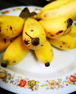 High angle view of fruits on plate