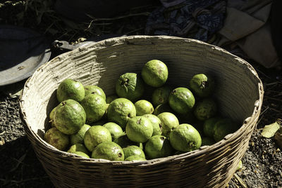 High angle view of guavas in basket