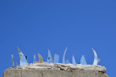 Low angle view of birds on rock against clear blue sky