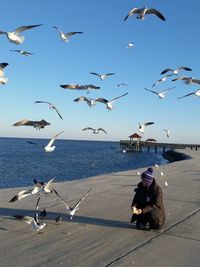 Woman feeding birds on pier over sea against sky