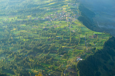 High angle view of agricultural field