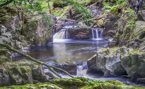 View of waterfall in forest