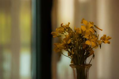 Close-up of yellow flowering plant in vase