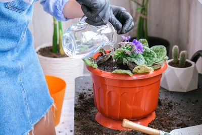 Midsection of person working on potted plant