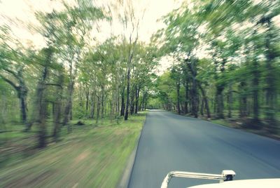 Road passing through forest