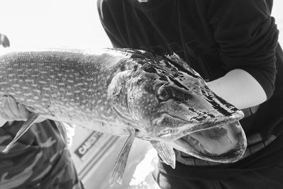 Close-up of hand holding fish