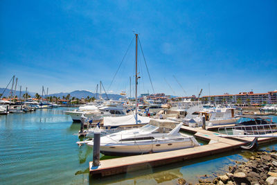 Sailboats moored in harbor