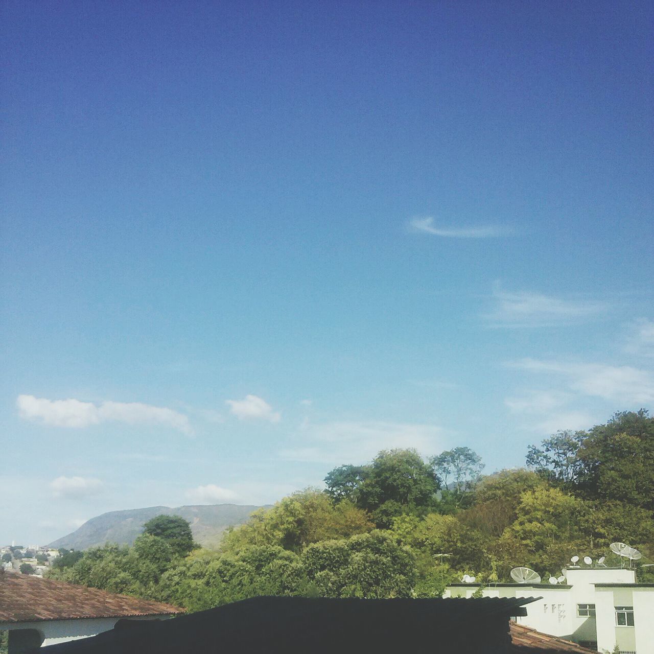 tree, blue, sky, beauty in nature, nature, building exterior, built structure, scenics, tranquil scene, tranquility, mountain, architecture, copy space, house, low angle view, sunlight, day, outdoors, no people, cloud - sky