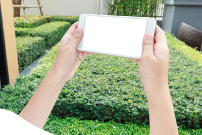 Cropped image of woman using phone in yard