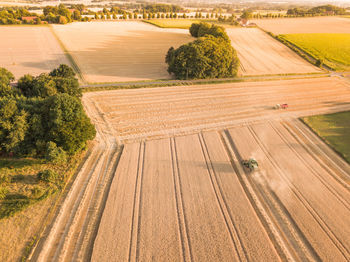 Aerial view of agricultural field