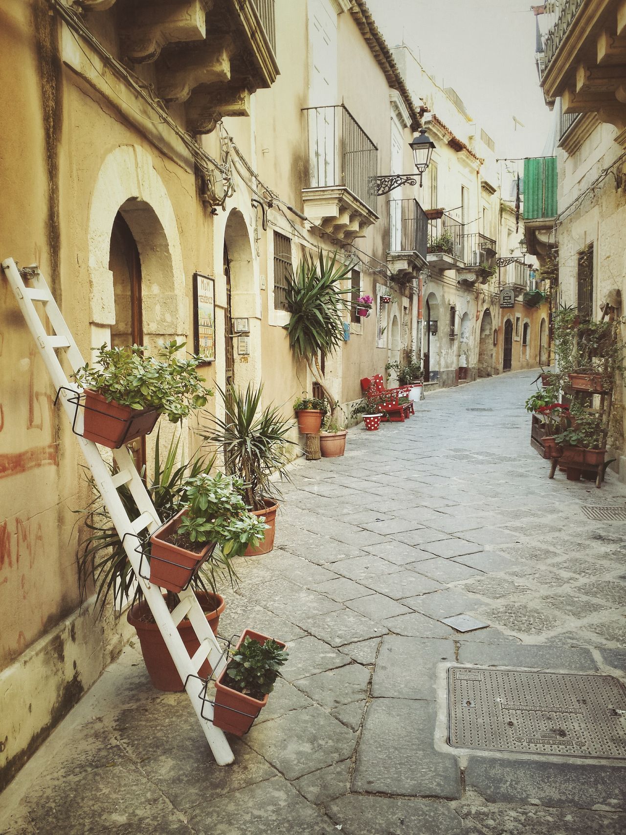 Giudecca - Ortigia