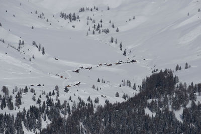 Trees and houses on snow covered mountain