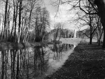 Reflection of bare trees in water