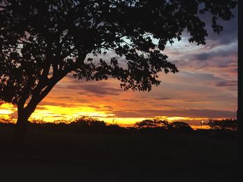 Silhouette trees against sky during sunset