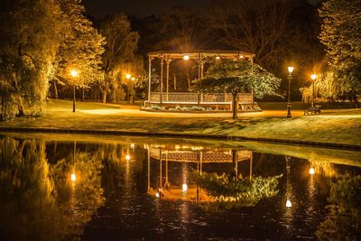 Reflection of illuminated trees in puddle at night