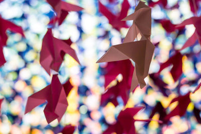 Close-up of multi colored paper flowers