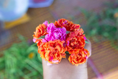 Close-up of hand holding pink rose flower