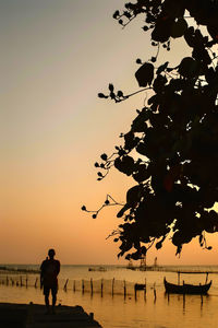 Silhouette people walking at beach during sunset
