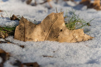 Close-up of rocks