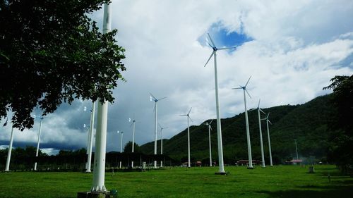 Trees on field against sky