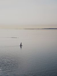 Silhouette man in sea against sky during sunset