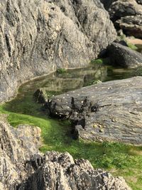 View of a rock formation