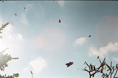 Low angle view of birds flying in sky