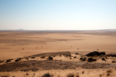 Scenic view of desert against clear sky