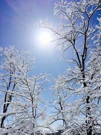 Low angle view of bare trees against sky