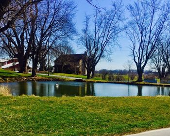 Scenic view of lake by trees against sky