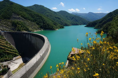 Beautiful dam in ridracoli,  italy during summer with green water in lake and blue sky background