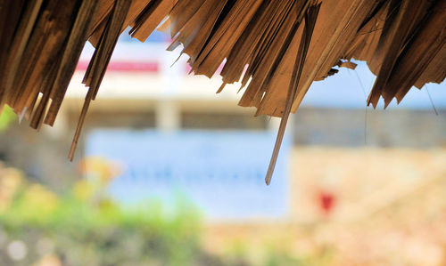 Close-up of roof hanging against sky