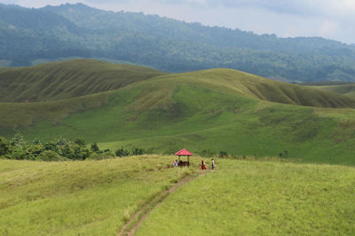 Scenic view of agricultural field