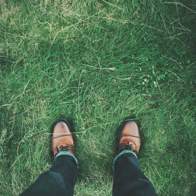 low section, person, shoe, grass, personal perspective, standing, grassy, field, human foot, footwear, jeans, men, green color, high angle view, lifestyles, unrecognizable person, leisure activity