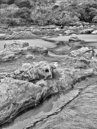 High angle view of rocks in water