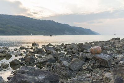 Rocks in sea against sky