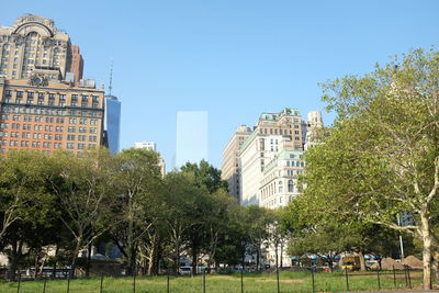 Trees in city against clear blue sky