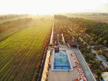 Sunrise aerial view over the paddy scenery