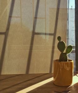 shadow