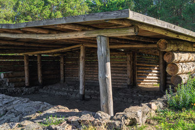 Old wooden house in forest