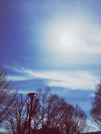 Low angle view of bare trees against blue sky