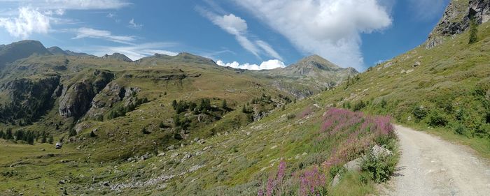 nature