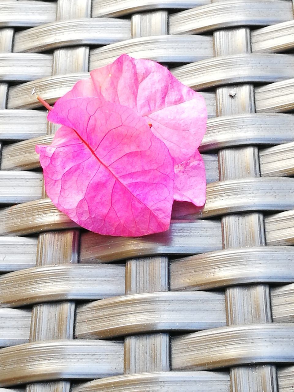 HIGH ANGLE VIEW OF PINK BASKET ON WOOD IN WICKER